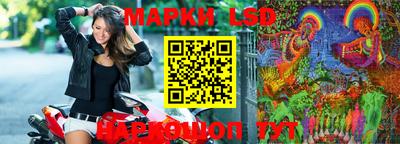 бошки Кимры