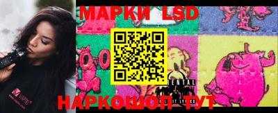 бошки Кимры
