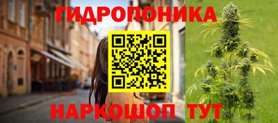 ECSTASY Кингисепп
