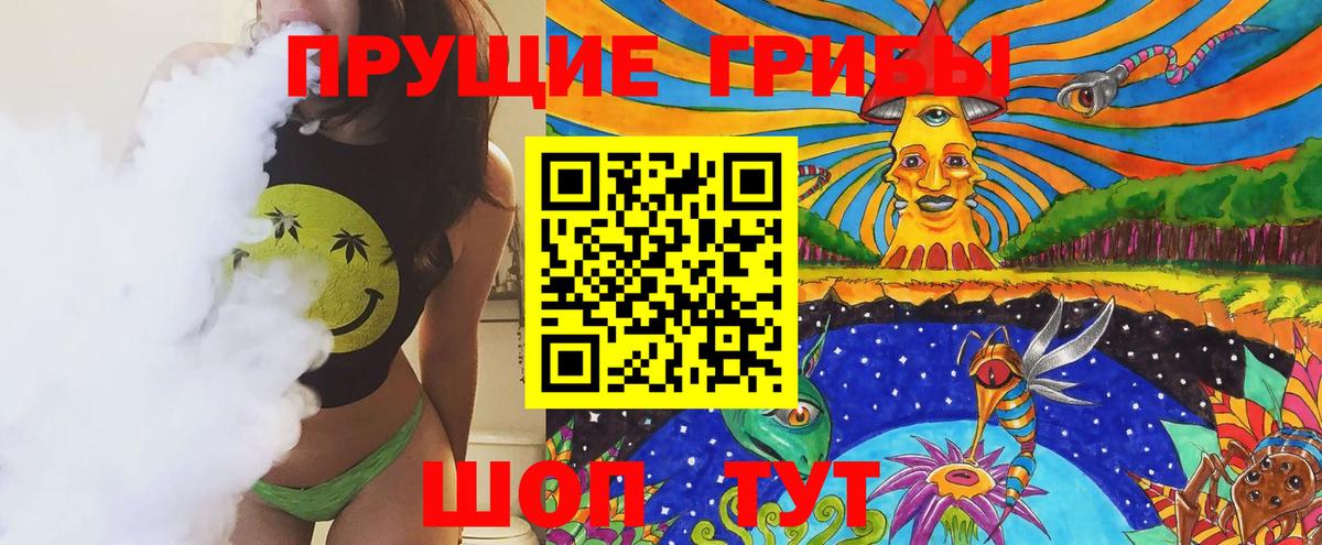 купить наркотики сайты  Псилоцибиновые грибы Psilocybe  Железноводск  Вход с VPN  Галлюциногенные грибы мицелий 